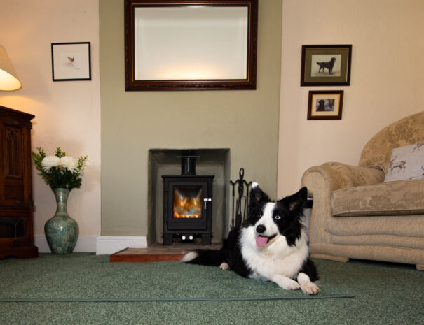 Caroline Cottage Two Bedroom Holiday Home Romaldkirk Barnard Castle Teesdale County Durham DL12 9ED - Dogs Welcome