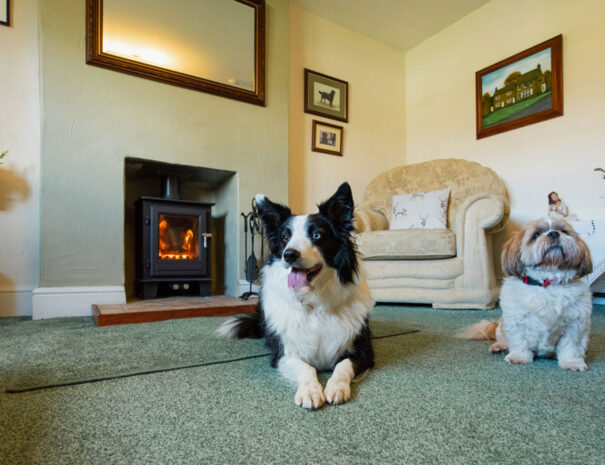 Caroline Cottage Two Bedroom Holiday Home Romaldkirk Barnard Castle Teesdale County Durham DL12 9ED - Log Burning Stove Dogs Welcome
