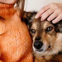 Caroline Cottage Two Bedroom Holiday Home Romaldkirk Barnard Castle Teesdale County Durham DL12 9ED - 5 Star Review